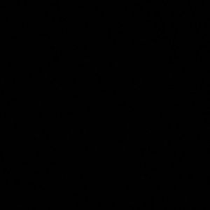 Meet your Posher, Caleigh